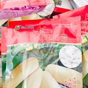 打籽西葫芦种 农户优选品种 抗病性强少病害