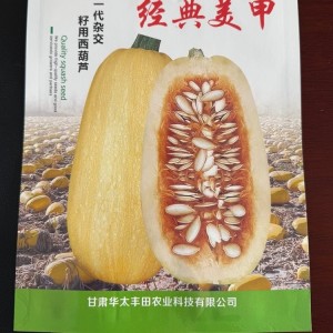 美人甲籽用南瓜种子 颗粒饱满中等耐寒耐旱 北方地区种植